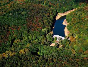 İstanbul’un “Akciğeri” Belgrad Ormanı İmara Açılıyor