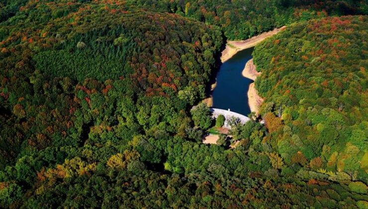 İstanbul’un “Akciğeri” Belgrad Ormanı İmara Açılıyor