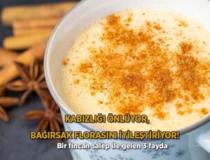 Kabızlığı Önlüyor, Bağırsak Florasını İyileştiriyor! Bir Fincan Saleple Gelen 3 Yarar