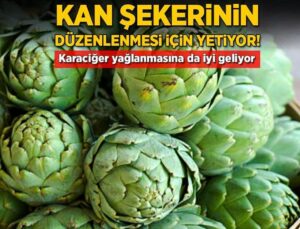 Kan Şekerini Düzenleyen Sinarin En Çok Enginarda Varmış! İyi Gelmediği Şey Yok, Karaciğer Dostu