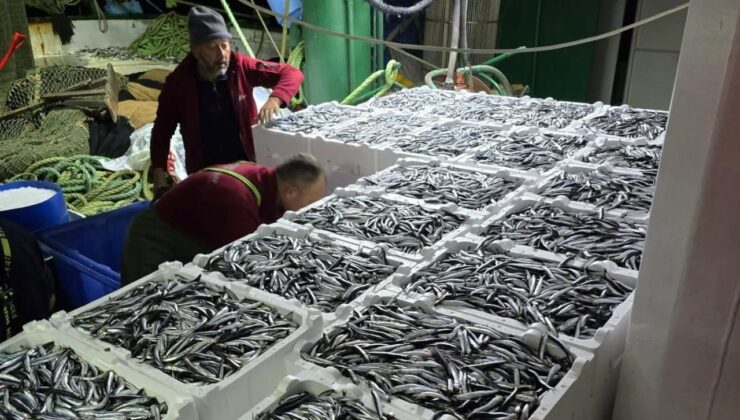 Kastamonu’da Balık Bereketi! Tezgahın İncisi Yine O Oldu