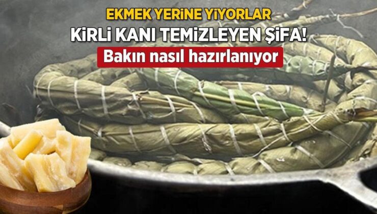 Kirli Kana Düşman, Mideye Dost! 500 Milyon Kişi Ekmek Yerine Yiyor, Mucize Zerzevat