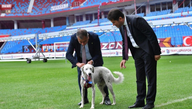 Maç Sırasında Alana Giren ‘Zibidi’yi Trabzonspor Sahiplendi