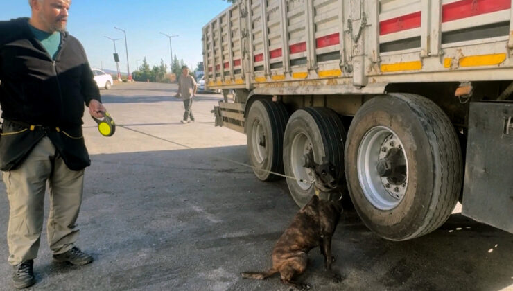 Narkotik Köpeği ‘Barbara’ Lastiğe Saklanmış Uyuşturucuyu Buldu