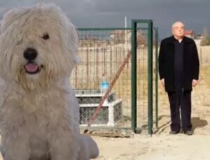 Ölen Köpeği İçin Arsa Satın Alıp, Mezar Yaptırdı