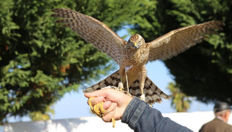 Rize’de Atmaca Güzellik ve Maharet Yarışı