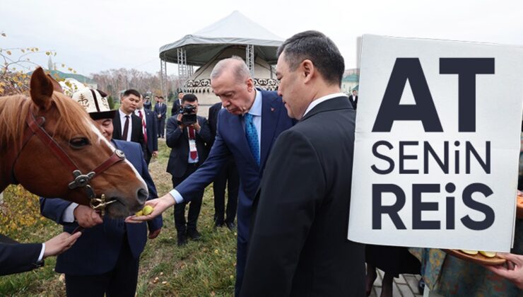 Sadır Caparov, Cumhurbaşkanı Erdoğan’a At Hediye Etti