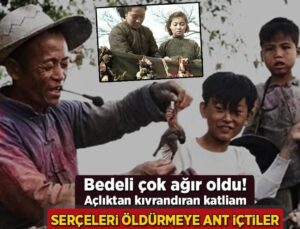 Serçeleri Yok Etmeye Ant İçtiler, Bedeli Çok Ağır Oldu! Açlıktan Kıvrandıran Katliam