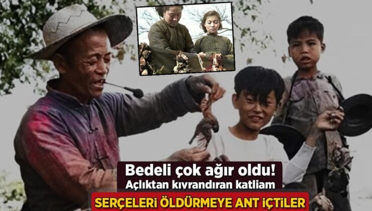 Serçeleri Yok Etmeye Ant İçtiler, Bedeli Çok Ağır Oldu! Açlıktan Kıvrandıran Katliam