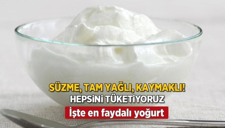 Süzme, Tam Yağlı, Kaymaklı Hepsini Yiyoruz! Çok Çeşidi Var, En Yararlısı Buymuş