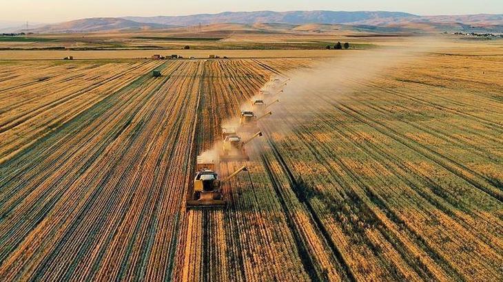 Tarım ve Orman Bakanlığı: Destekleme Ödemelerini Çiftçilerimizin Hesaplarına Aktarıyoruz