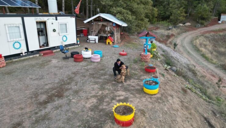 Tokat’ta Balıkçının Köpeklerle Olan Arkadaşlığı Yürek Isıttı