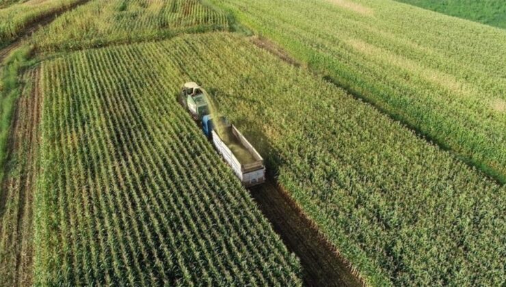 Türk Tarım Ürünleri İçin İngiltere Pazarında Yeni Fırsatlar Yolda