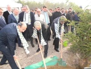 Uludağ Üniversitesi’nin Yanan Ormanları Yeniden Yeşeriyor