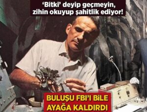 Yöntemi Fbı’ı Bile Ayağa Kaldırdı! ‘Bitki’ Deyip Geçmeyin, Zihin Okuyup Şahitlik Ediyor