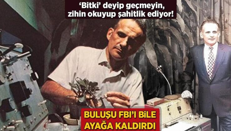 Yöntemi Fbı’ı Bile Ayağa Kaldırdı! ‘Bitki’ Deyip Geçmeyin, Zihin Okuyup Şahitlik Ediyor