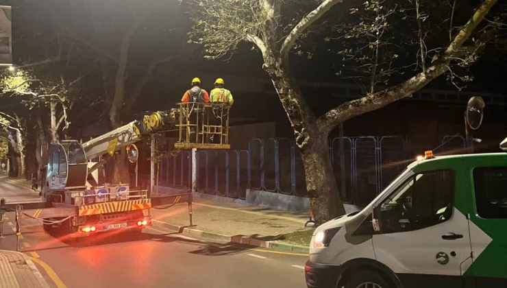 Bursa’da Çınar Ağaçlarına Kış Bakımı