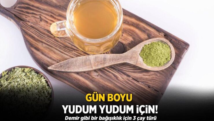 Gün Boyu Yudum Yudum İçin! Demir Gibi Bir Bağışıklık İçin 3 Çay Tipi