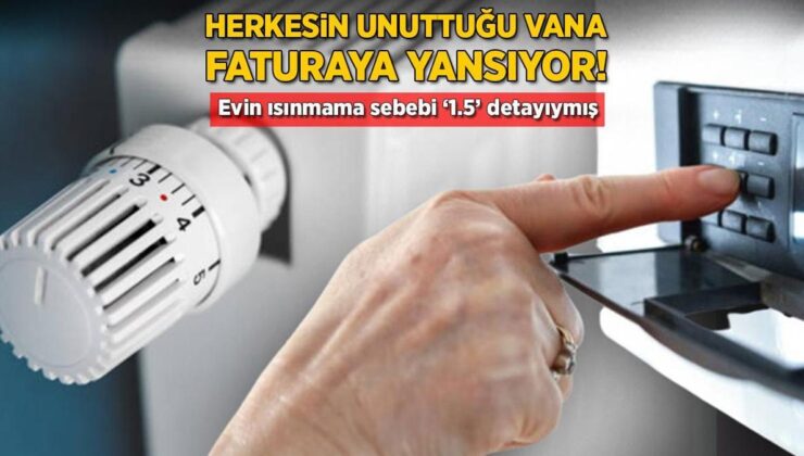 Herkesin Unuttuğu ‘Vana’ Detayı! Faturanız Artık Şişmeyecek, İşin Sırrı Petekte Gizli