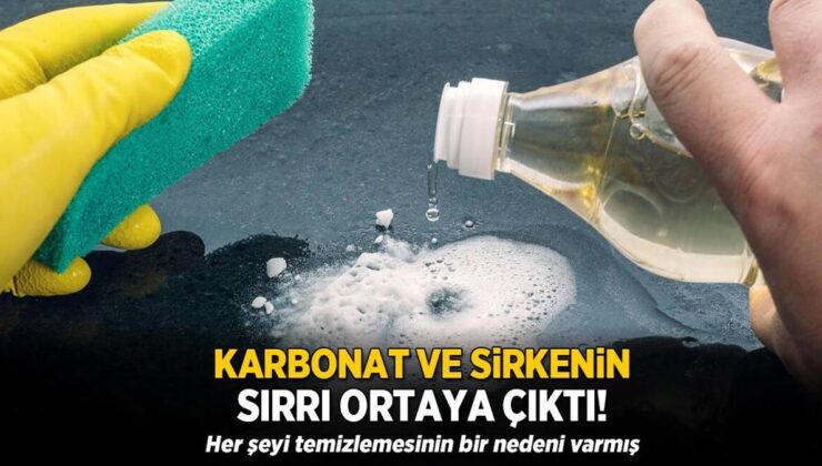 Karbonat ve Sirkenin Sırrı Ortaya Çıktı! Her Şeyi Temizlemesinin Bir Nedeni Varmış