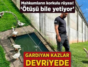 Mahkumların Korkulu Rüyası! Gardiyan Kazlar Devriyede: ‘Ötüşü Bile Yeterli Oluyor’