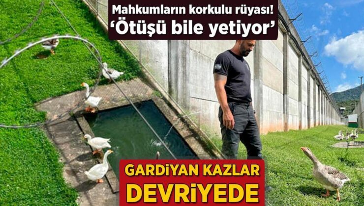 Mahkumların Korkulu Rüyası! Gardiyan Kazlar Devriyede: ‘Ötüşü Bile Yeterli Oluyor’