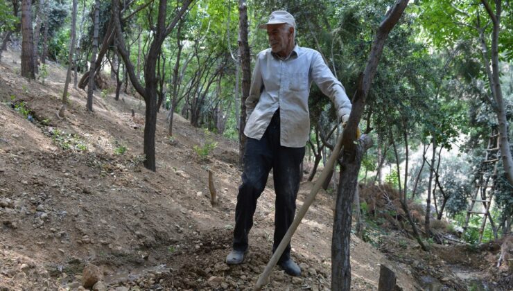 Mardin’de 75 Yaşında 30 Binden Fazla Fidan Dikti