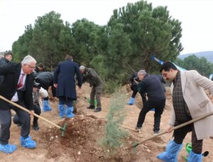 Pazarcık’ta Hatıra Ormanı Oluşturuldu