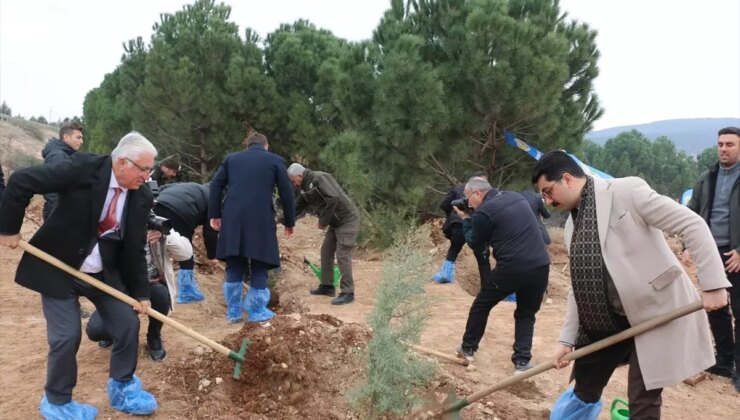 Pazarcık’ta Hatıra Ormanı Oluşturuldu