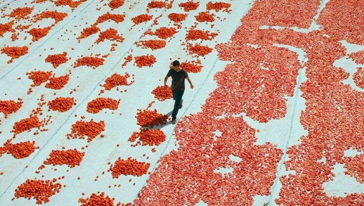 Türkiye Sinemasından En Yeni ve Ödüllü Filmler İstanbul Çağdaş Sinema’da