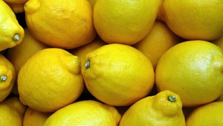 2024’te Üretici ve Market Arasındaki Fiyat Farkında Limon Zirvede