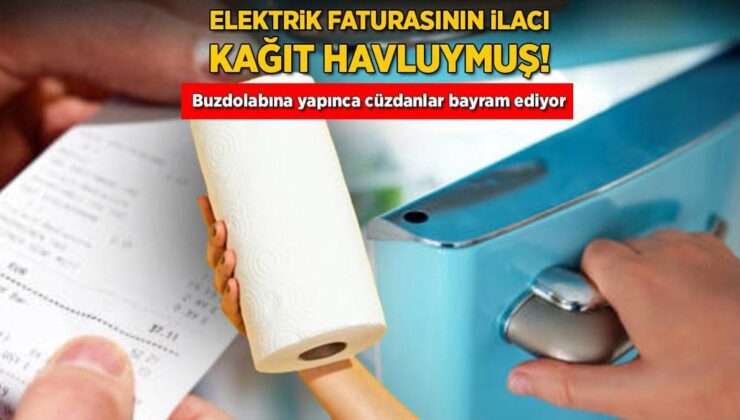 Elektrik Faturasının İlacı Kâğıt Havluymuş! Buzdolabına Yapınca Cüzdanlar Bayram Ediyor