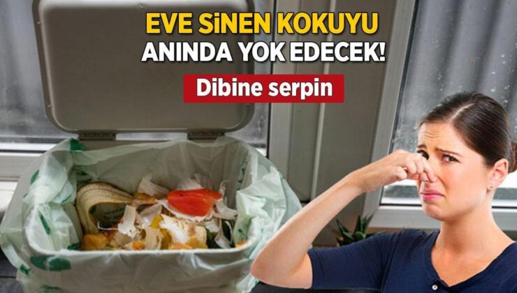 Eve Sinen Çöp Kokusu Anında Uçacak! Kovanın Tabanına Dökünce Çiçek Gibi Yapıyor