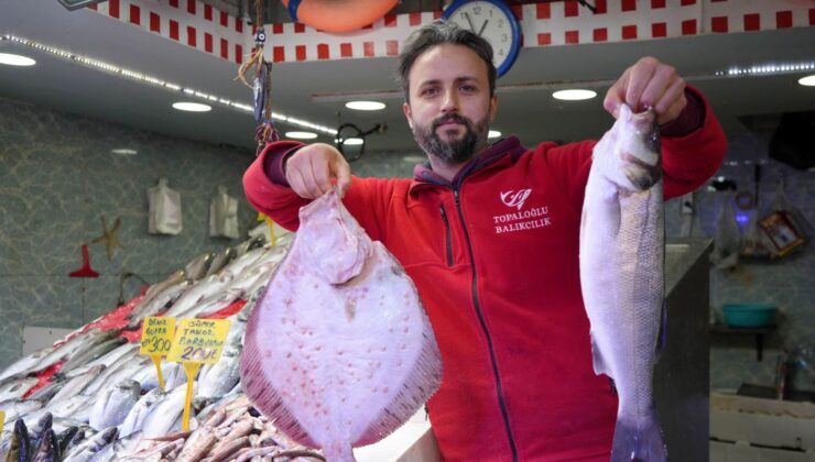 Hamsiden Sonra Tezgahların Gözdesi Oldu: Kilosu 70 TL’ye Satılıyor