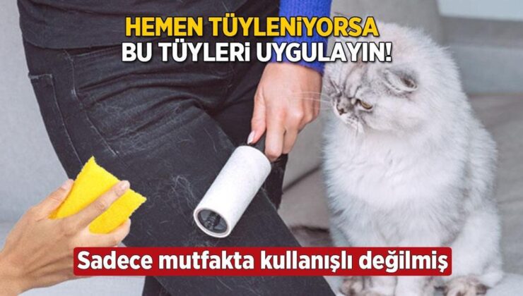 Hemen Tüyleniyorsa Bu Yöntemi Uygulayın! Hem Mutfakta Hem Kıyafette İşe Yarıyor