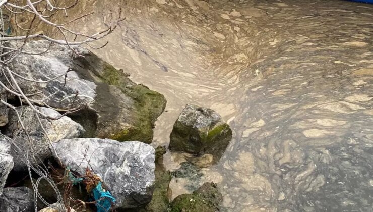 Kadıköy’de Deniz Yüzeyinde Ürküten Görüntü