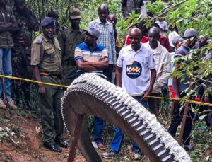 Kenya’da 500 Kiloluk Metal Cisim Köye Düştü: Roketin Ayrılma Halkası Mı?