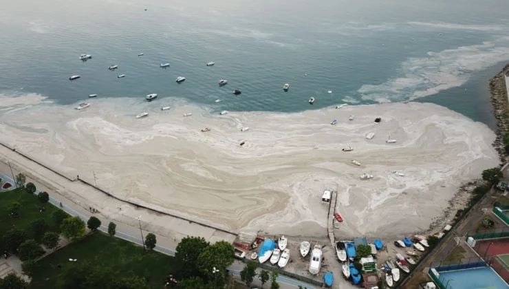 Marmara Denizi’nde Müsilajı Önlemek İçin 700 Tesis İnceleme Altına Alındı