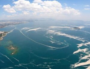 Marmara’da Müsilaj Tehlikesi! Yeni Açıklama Geldi