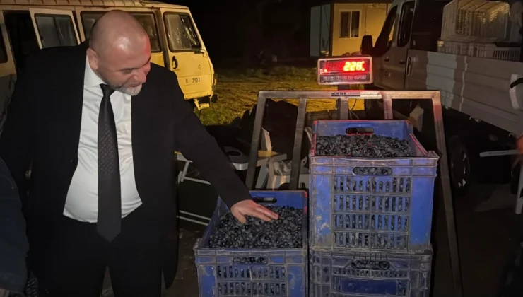 Orhangazi Belediyesi’nin Ürettiği Zeytin ve Zeytinyağı Markası Tüketicilerin Beğenisine Sunuldu