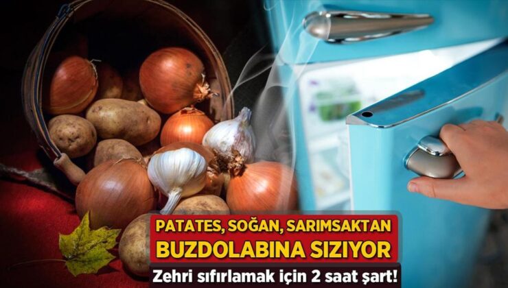 Patates, Soğan ve Sarımsaktan Buzdolabına Sızıyor! Zehri Sıfırlamak İçin 2 Saat Şart