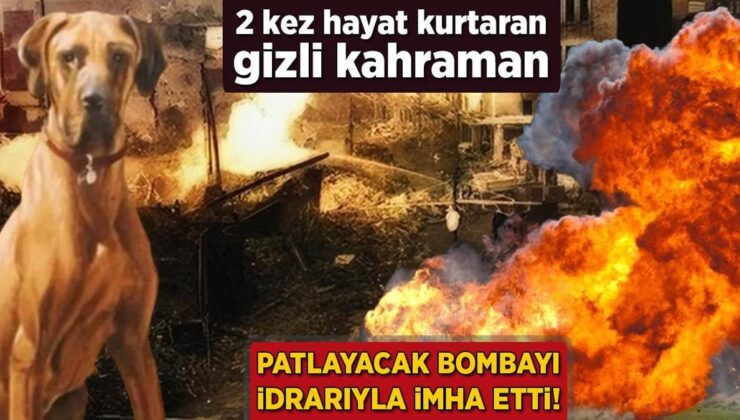 Patlayacak Bombayı İdrarıyla İmha Etti! 2 Kez Hayat Kurtaran Gizli Kahraman