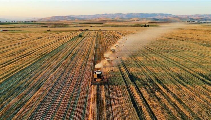 Tarsim Çiftçilere 22,5 Milyar Lira Prim Desteği ve Hasar Tazminatı Ödedi