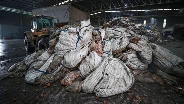 Türkiye’de En Çok Tüketilen Sebzede Hastalık. 400 Ton Patates İmha Edildi, 2 Bin 100 Ton Daha İmha Edilecek