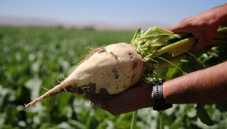 Ziraî Destekleme Ödemesi Bugün Çiftçilerin Hesabına Yatırılıyor